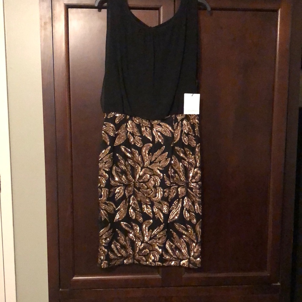 Ladies dress never warn. With tags